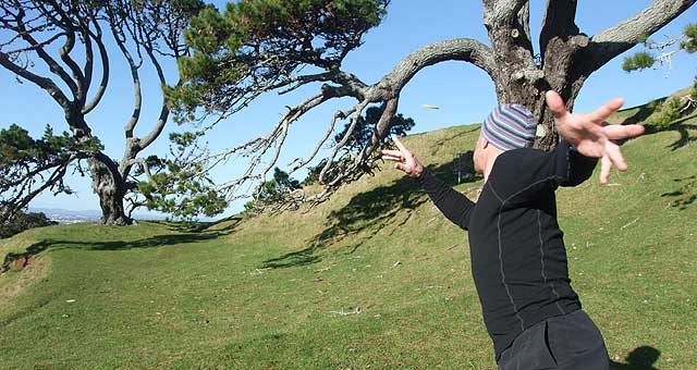 Disc Golf New Zealand